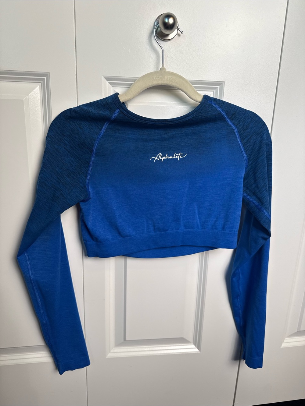 Alphalete Women's Long-Sleeve Ombré Crop Top in Blue